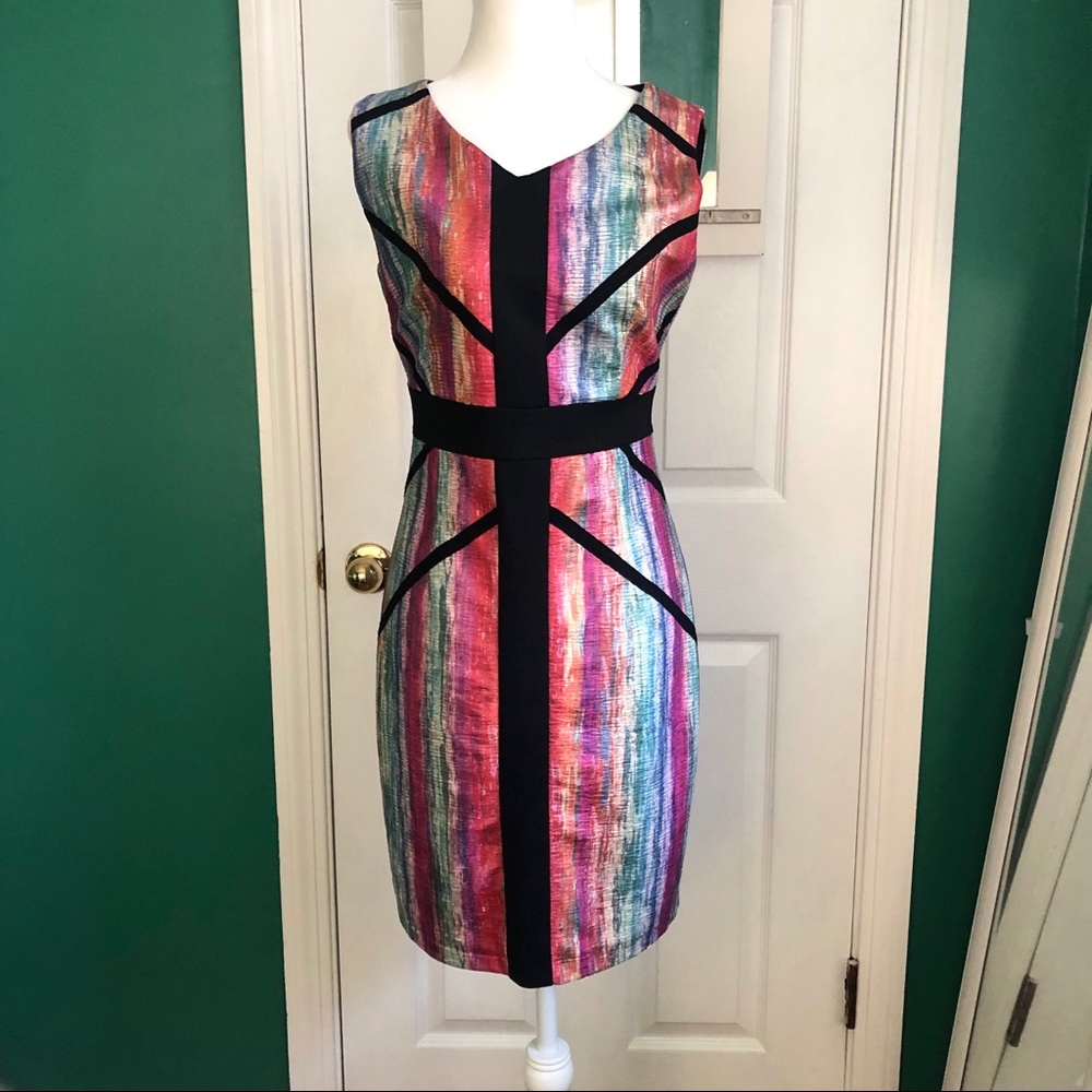 Adore Multicolor Sheath Dress size small